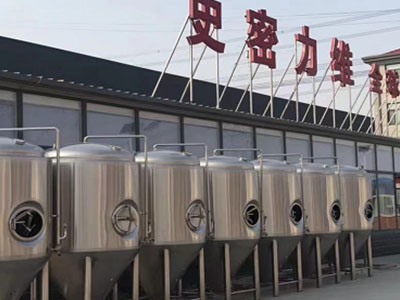 上海精酿啤酒设备厂—市场规模与跨界新需求